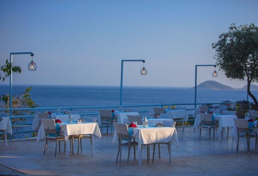 Aamiaismajoitus (B&B) Kalkan Asfiya