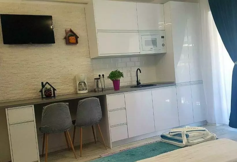 Garsoniera Ady