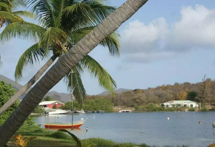 Lagoon Terrace Grand Studio