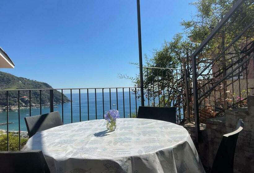 Ocean View Flat With Wi Fi, Ac And Elevator To Town