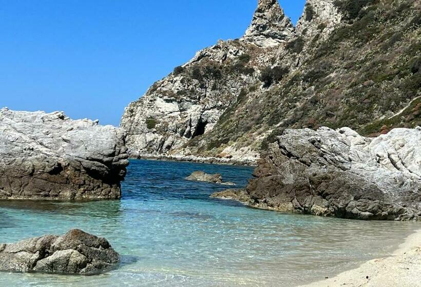 住宿加早餐  Akoya Rooms Capo Vaticano