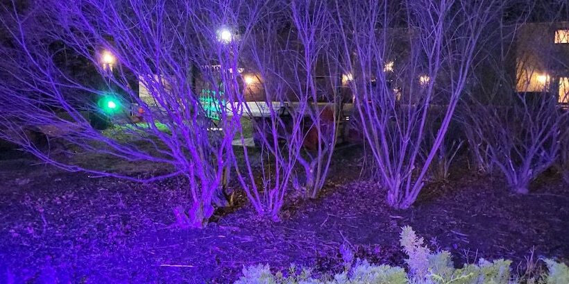 Отель Inn Of The Dove   Romantic Luxury Suites With Jacuzzi & Fireplace At Harrisburg Hershey Philadelphia