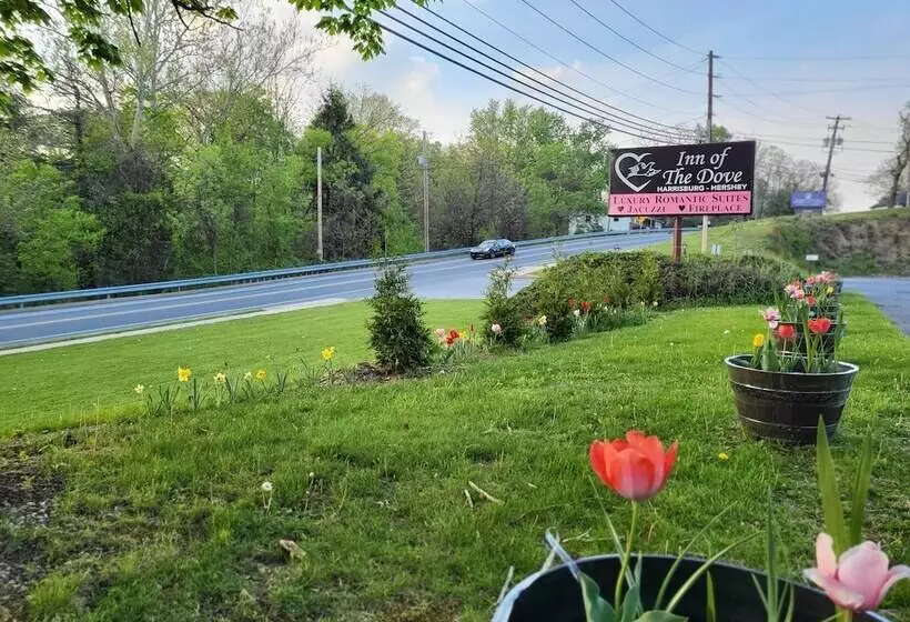 Hotelli Inn Of The Dove   Romantic Luxury Suites With Jacuzzi & Fireplace At Harrisburg Hershey Philadelphia