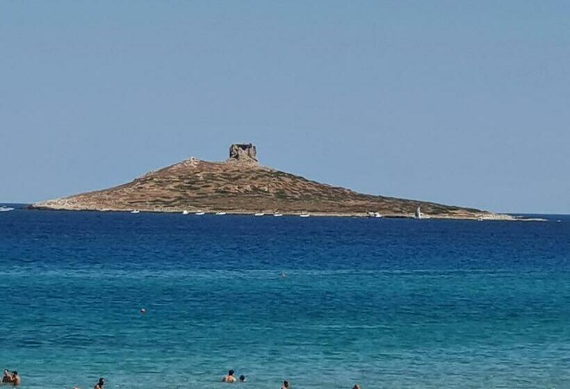 Majatalo Casetta Delle Mimose