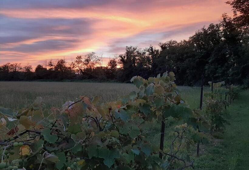 膳宿费 La Locanda Della Staffa