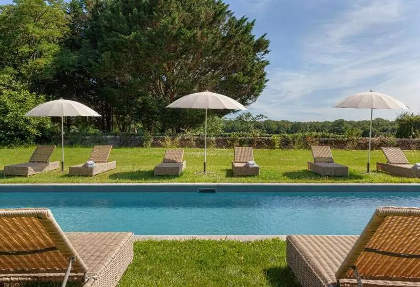 ベッドアンドブレックファースト Château De Paradis