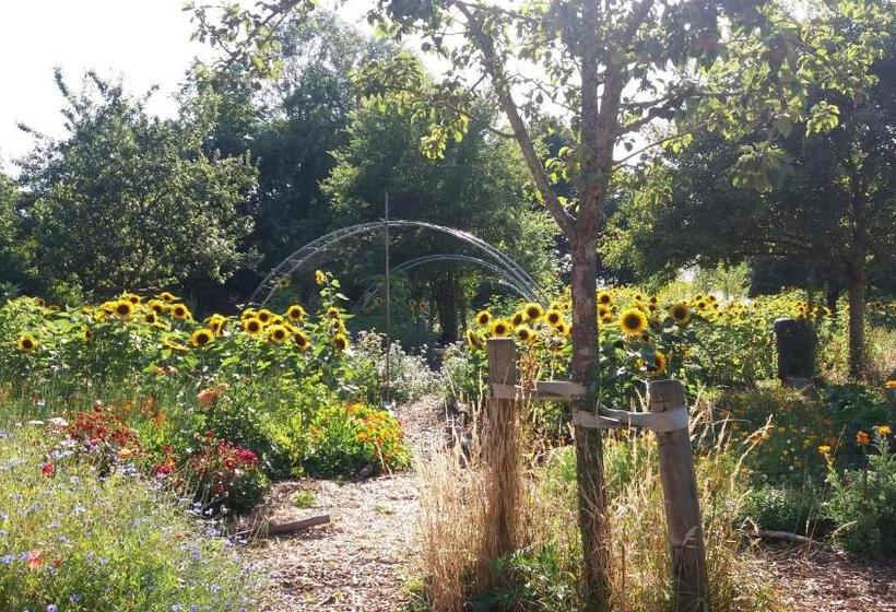 민박 De Geheime Tuin Huisje In T Groen