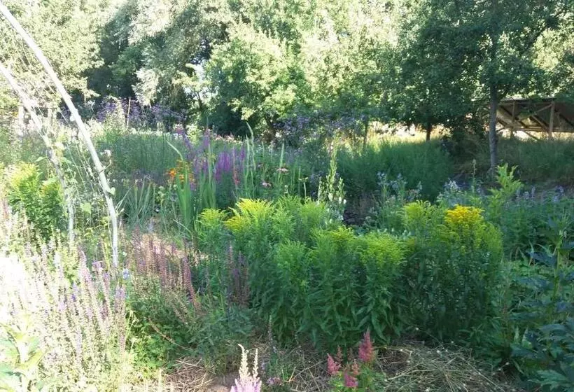 ベッドアンドブレックファースト De Geheime Tuin   Huisje In  T Groen