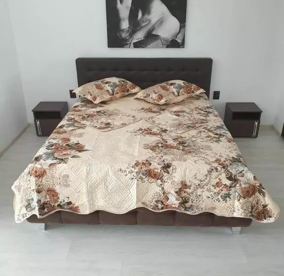 Studio De Lux Montana