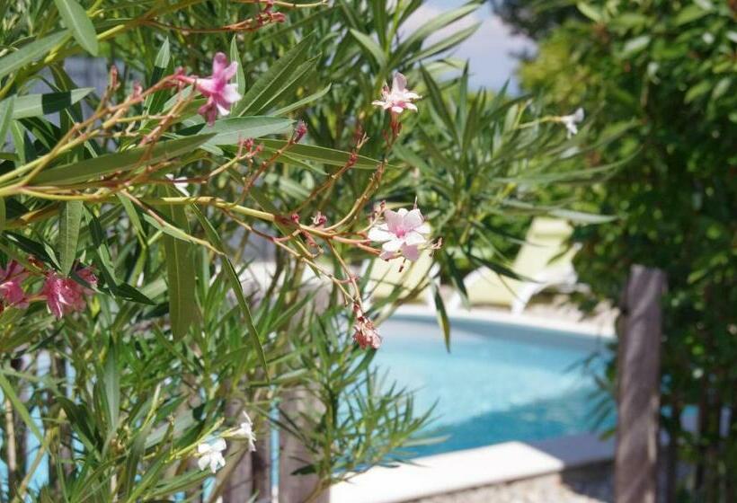 مبيت وإفطار Le Grand Cèdre 2 Chambres D Hôtes Sud Ardèche