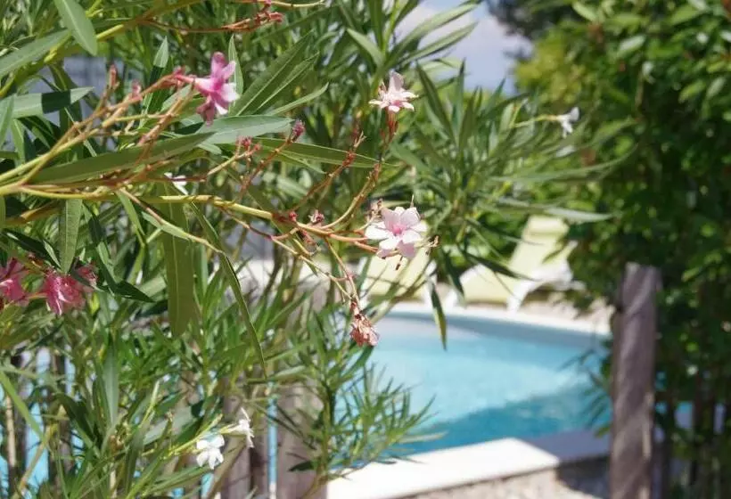 ベッドアンドブレックファースト Le Grand Cèdre   2 Chambres D Hôtes   Sud Ardèche