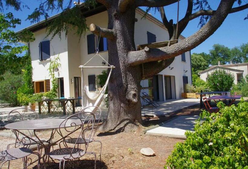 مبيت وإفطار Le Grand Cèdre 2 Chambres D Hôtes Sud Ardèche