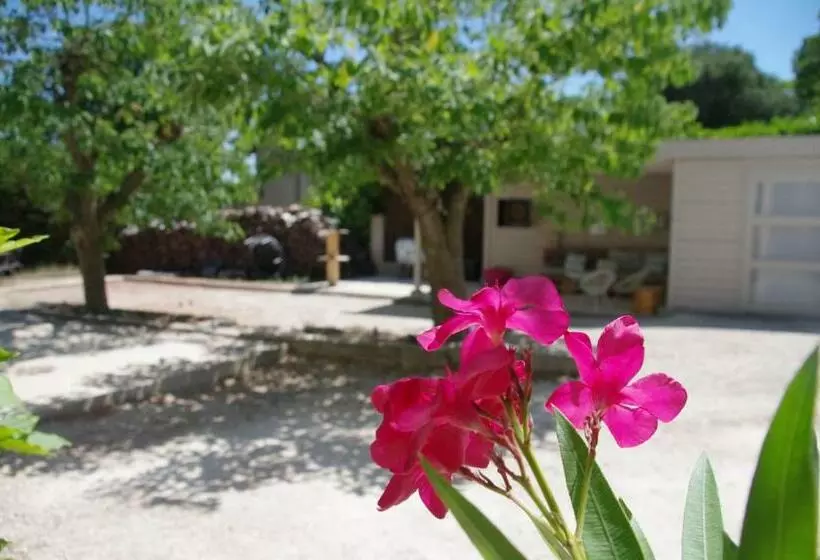 ベッドアンドブレックファースト Le Grand Cèdre   2 Chambres D Hôtes   Sud Ardèche