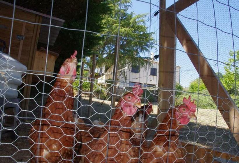 مبيت وإفطار Le Grand Cèdre 2 Chambres D Hôtes Sud Ardèche