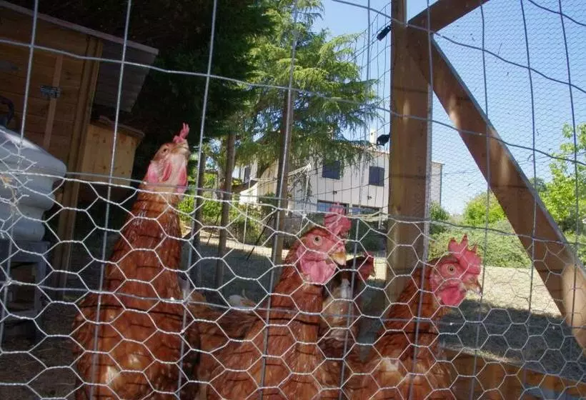 ベッドアンドブレックファースト Le Grand Cèdre   2 Chambres D Hôtes   Sud Ardèche