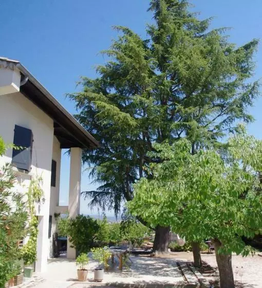 ベッドアンドブレックファースト Le Grand Cèdre   2 Chambres D Hôtes   Sud Ardèche