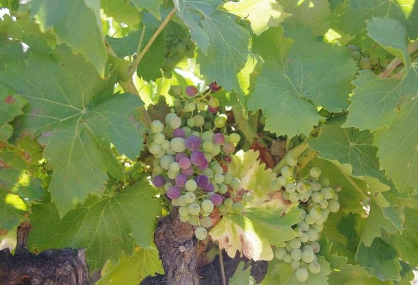 مبيت وإفطار Le Grand Cèdre 2 Chambres D Hôtes Sud Ardèche