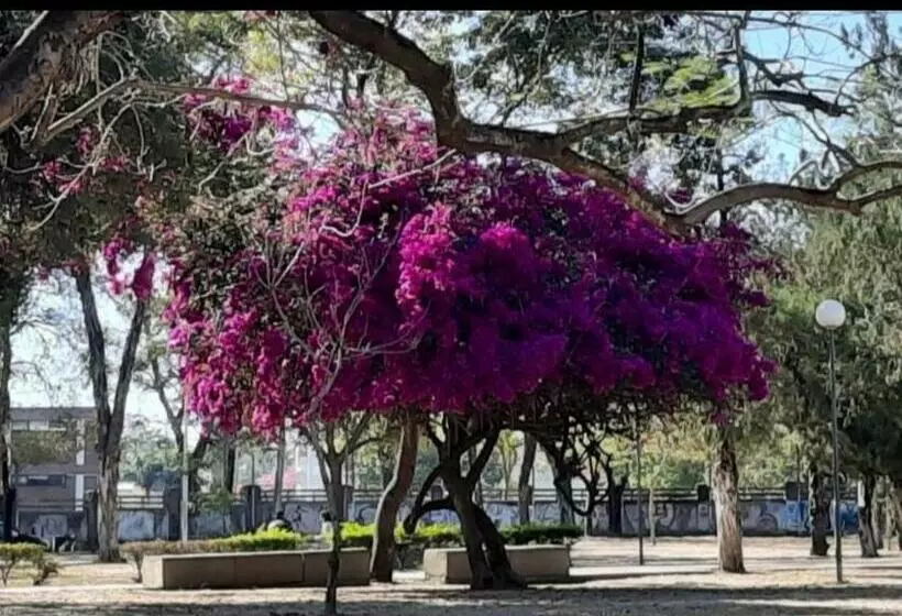 Del Parana