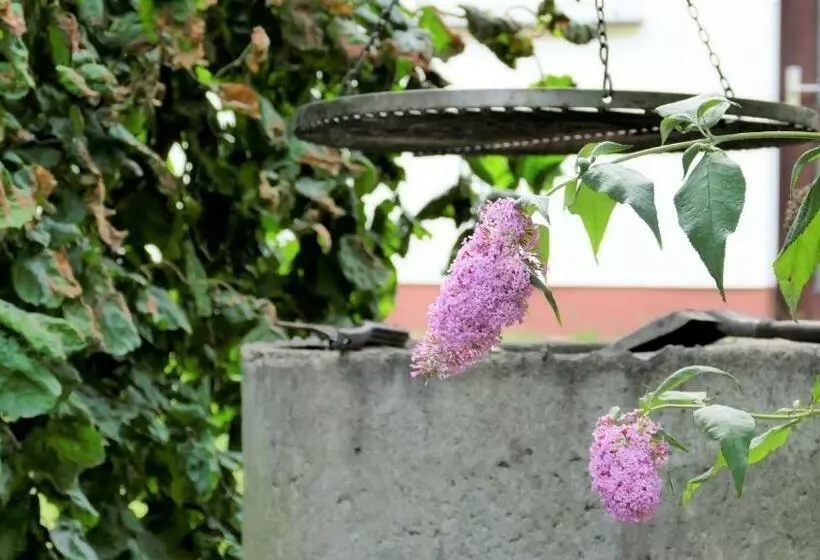 Helles Ferienhaus Im Landhausstil Für Bis Zu 10 Personen