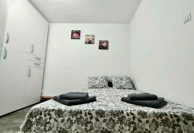 Lavanda Studio
