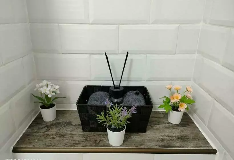 Lavanda Studio