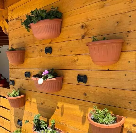 Majatalo Casa Selina