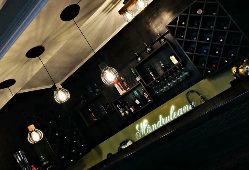 Pensiunea Mândruleanu