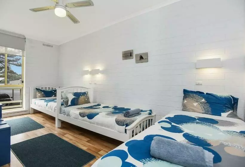 The Dolphins 7    Beachfront View To Remember