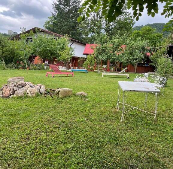 Пансион Casa De Vacanta Tara