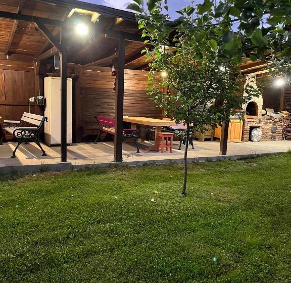 Пансион Casa De Vacanta Tara