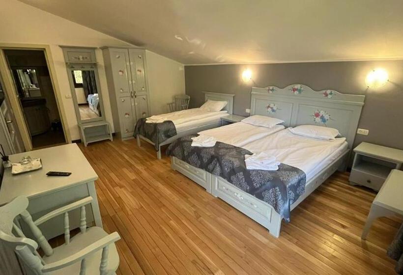 Пансион Casa De Vacanta Tara