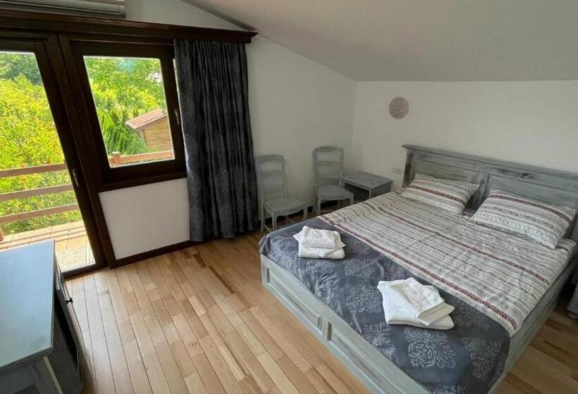 Пансион Casa De Vacanta Tara