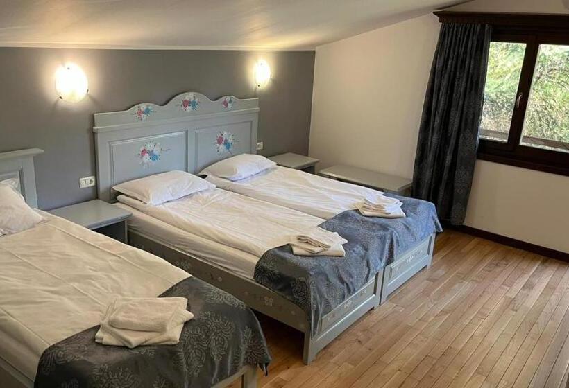 Пансион Casa De Vacanta Tara