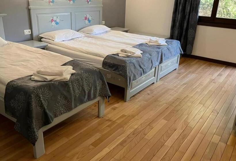 Пансион Casa De Vacanta Tara