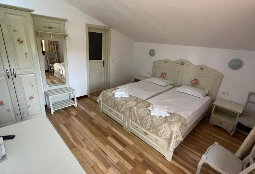 Пансион Casa De Vacanta Tara