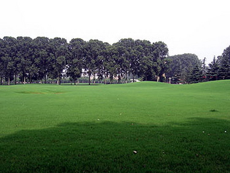 Ying Bin Hotel Of The Yellow River