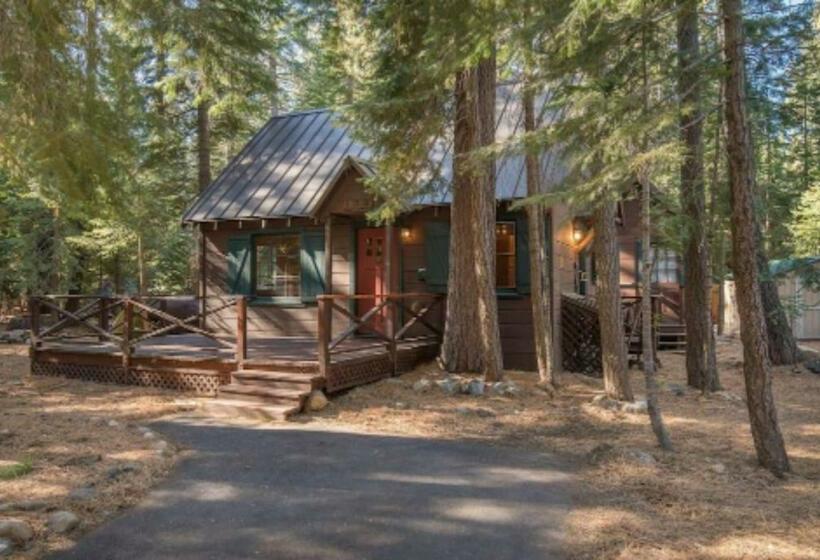 Owls Peak By Avantstay Private Pine Tree Cabin Mins From The Water
