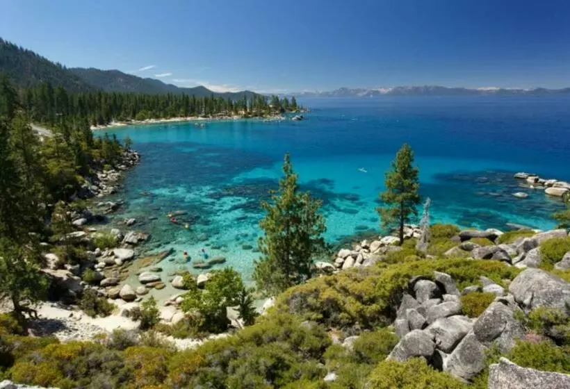Owls Peak By Avantstay Private Pine Tree Cabin Mins From The Water