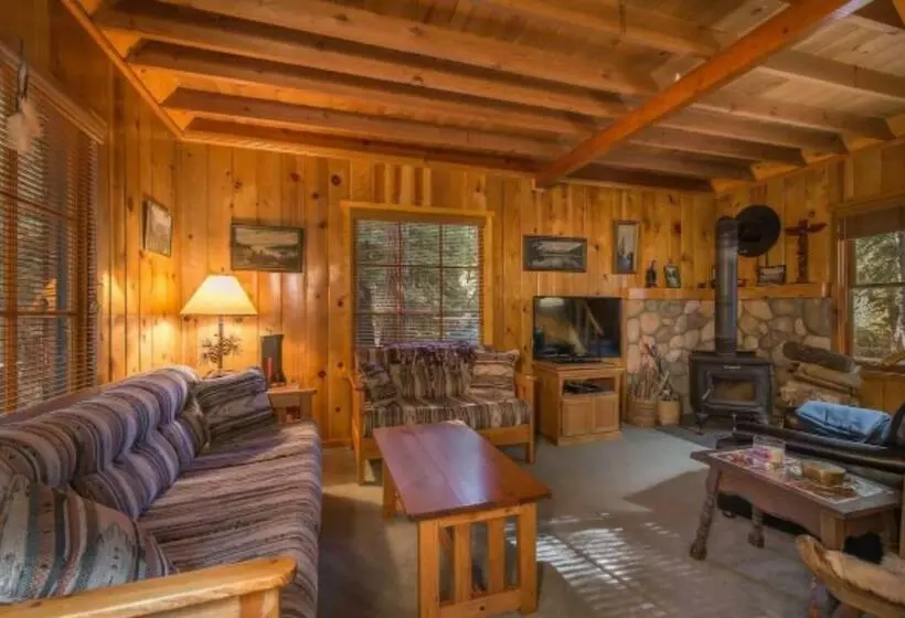 Owls Peak By Avantstay Private Pine Tree Cabin Mins From The Water