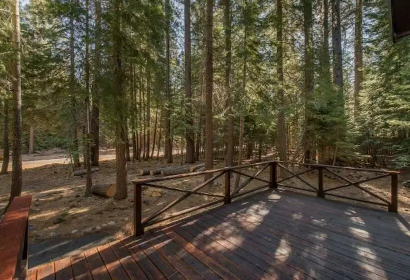Owls Peak By Avantstay Private Pine Tree Cabin Mins From The Water