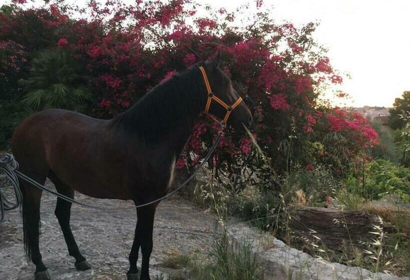 بنسيون Country Room Sicily   Agrigentoholidays