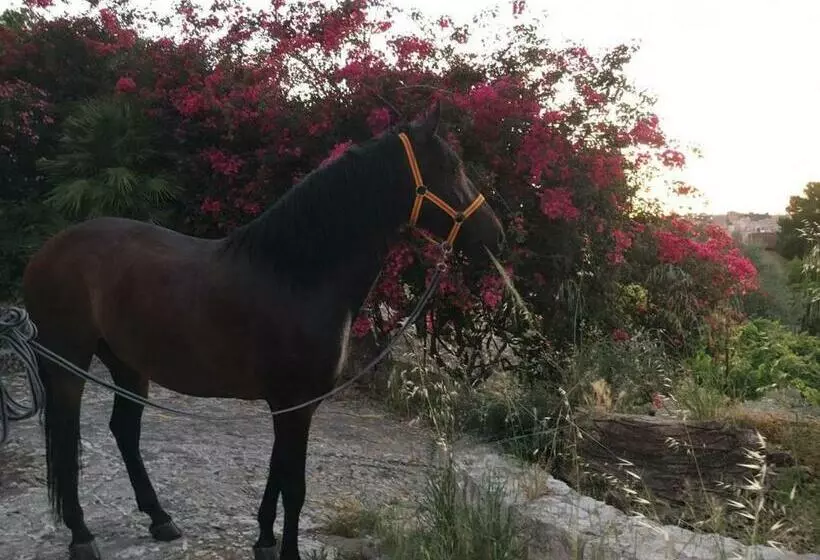 پانسیون Country Room Sicily Agrigentoholidays