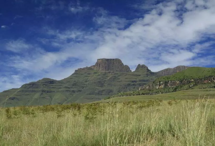 Drakensberg Vultures View