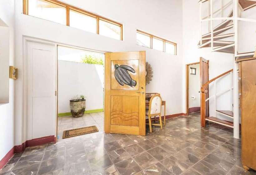 Beachfront Home Sand In Your Feet Surf And Relax