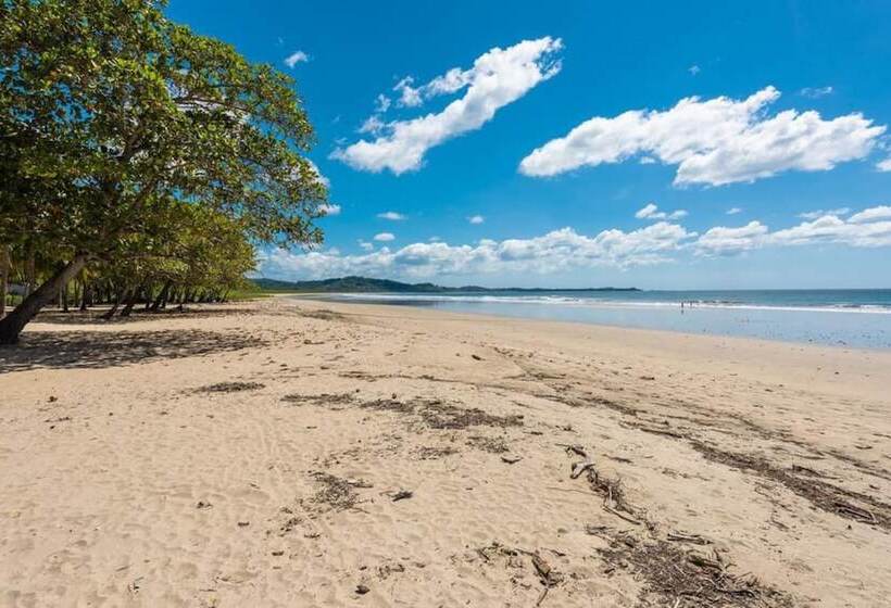 Beachfront Home Sand In Your Feet Surf And Relax