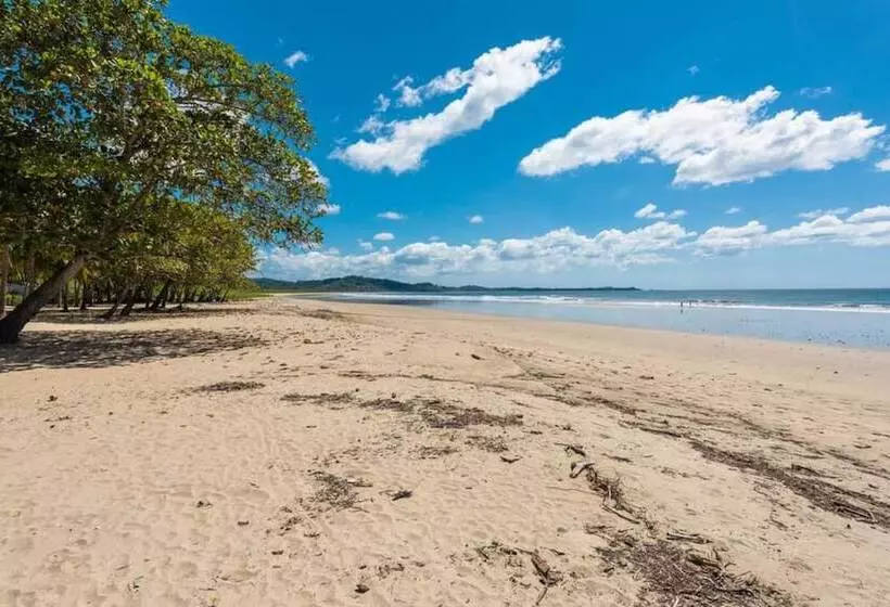 Beachfront Home Sand In Your Feet Surf And Relax