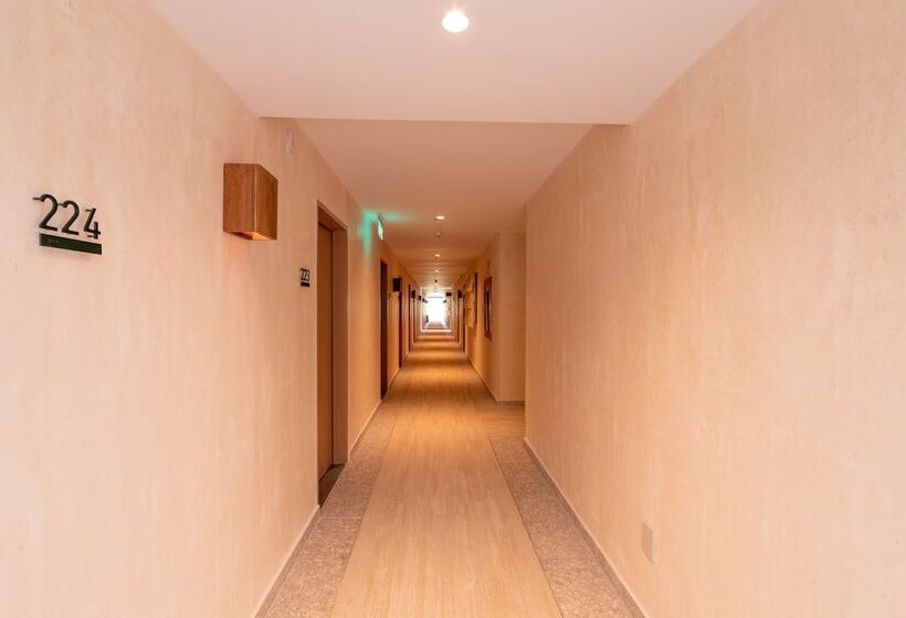 Szálloda Motto By Hilton Tulum