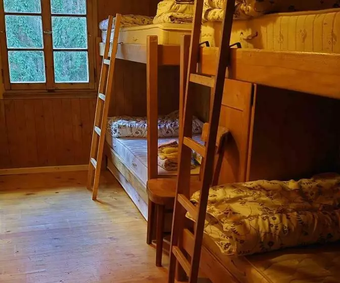 ユースホステル Kunst  Und Naturfreundehaus Brünig