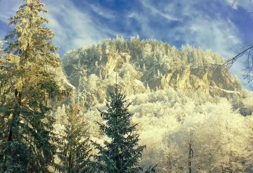 ユースホステル Kunst  Und Naturfreundehaus Brünig