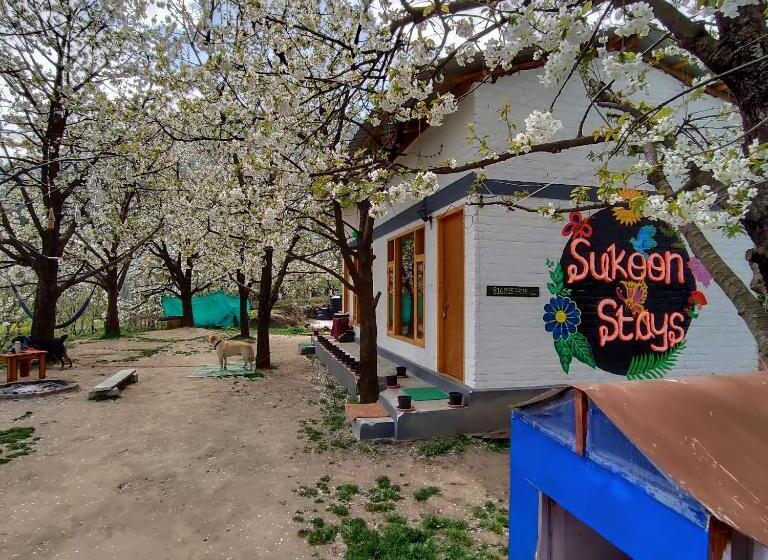 Albergue Sukoon Stays Manali
